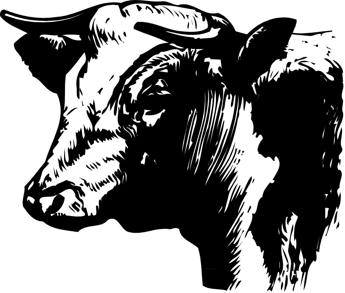 a black and white cow with a long horn clip art png transparent Black and White Cow with Long Horn - Premium Clipart Collection
