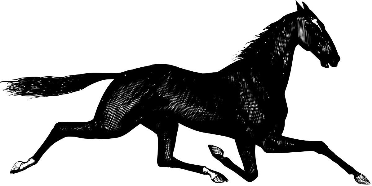 a black and white dog is standing in the dark clip art png transparent Black and White Dog Standing in the Dark - Captivating Clipart