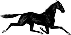 Black and White Dog Standing in the Dark - Captivating Clipart