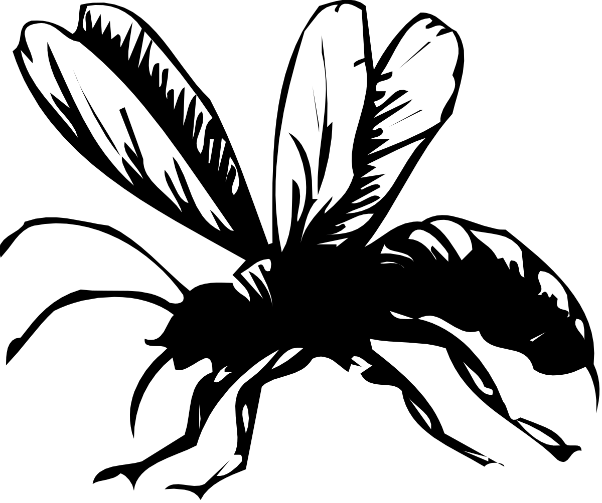 a black and white rabbit head with feathers clip art png transparent Black and White Rabbit Head with Feathers Clipart