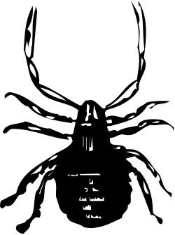 Punish Wallpapers Clipart: Bold Designs for Striking Visuals
