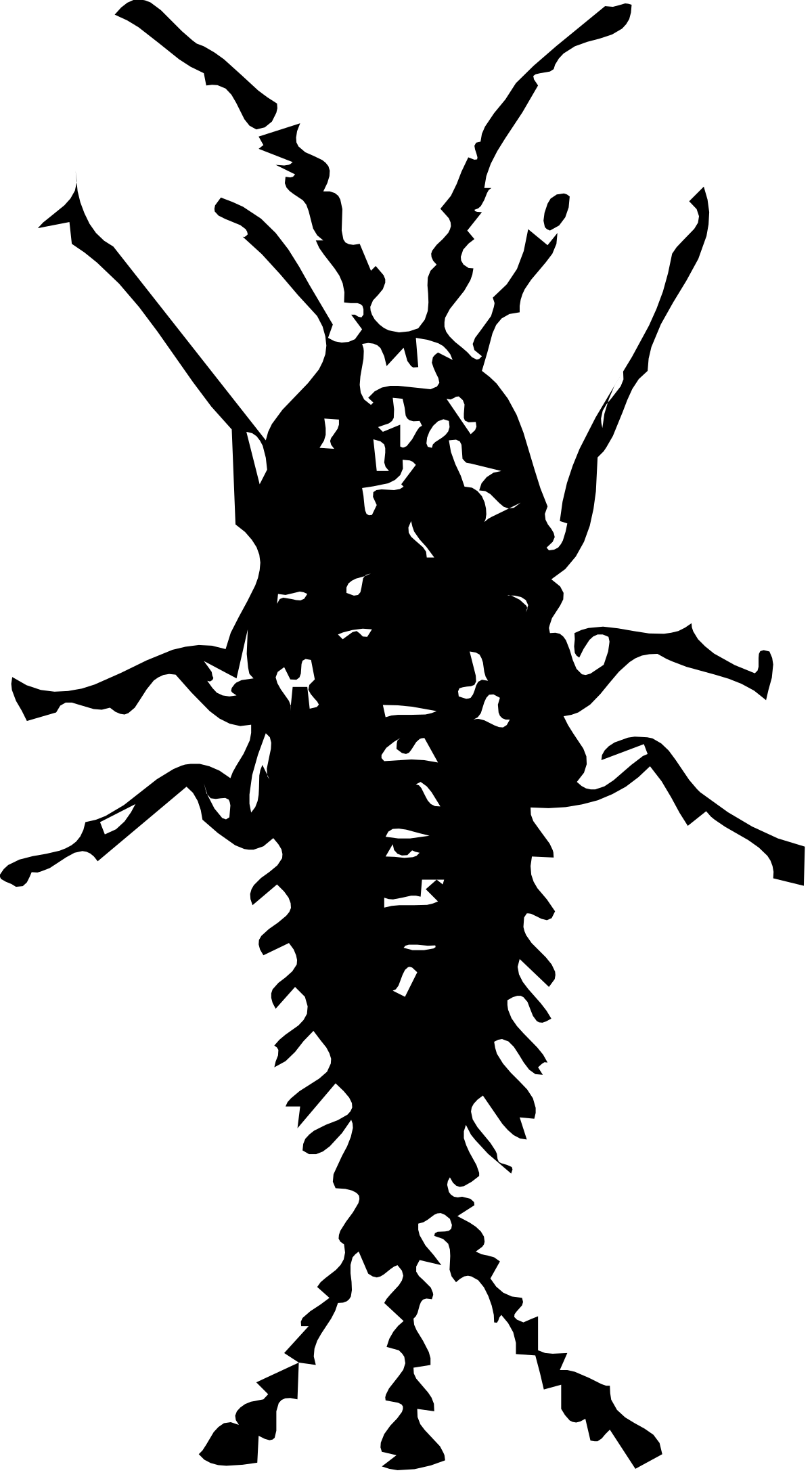 a black and white photo of a bird flying clip art png transparent Black and White Bird Flying Clipart - Elegant Avian Graphics