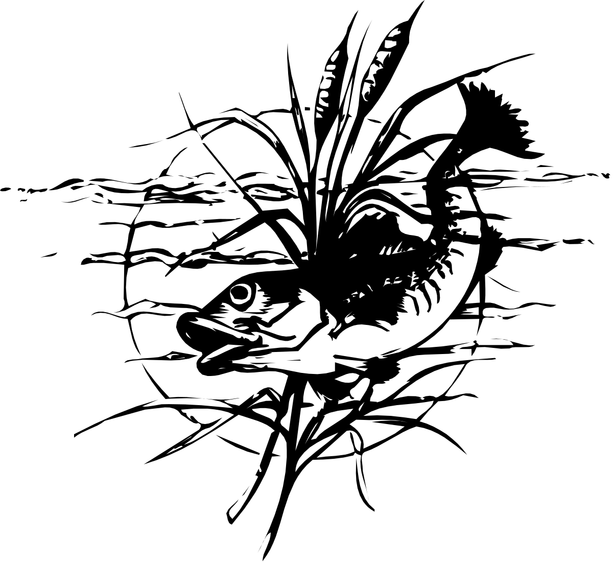 Cat Clipart - Black and White Feline Illustration for Creative Projects