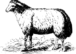 Bear Clipart: Stunning Black and White Illustration for Creative Projects