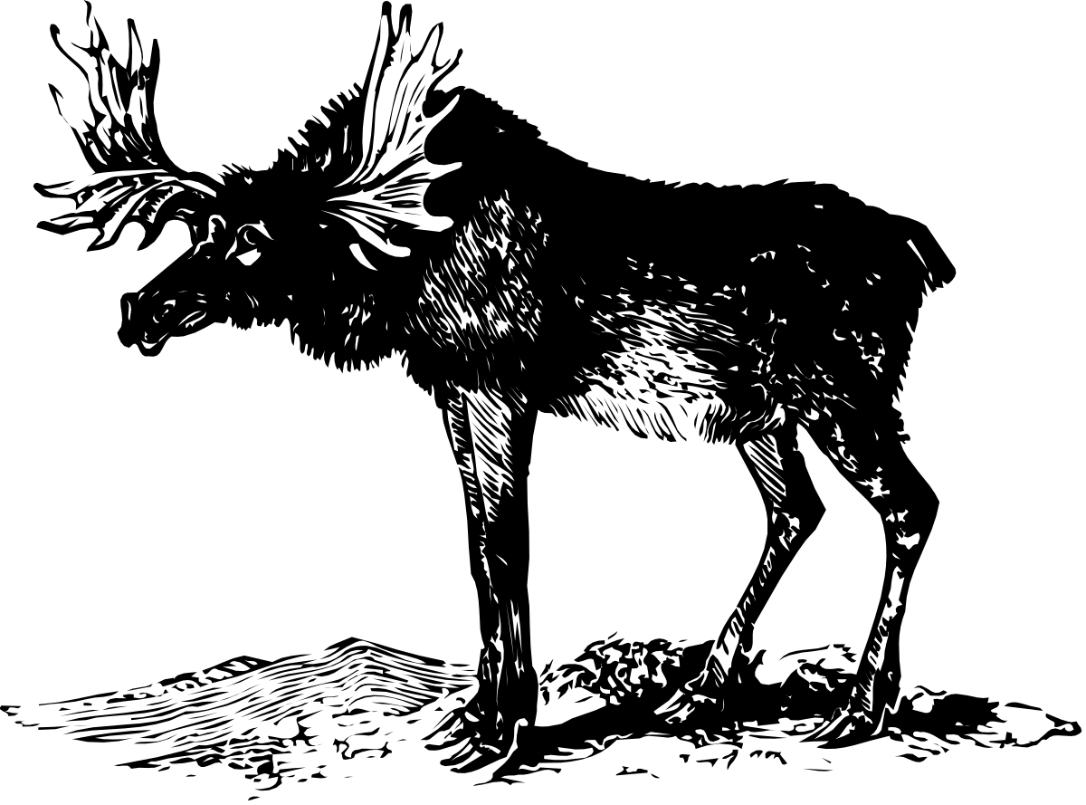 Deer Clipart - Black and White Drawing for Elegant Designs