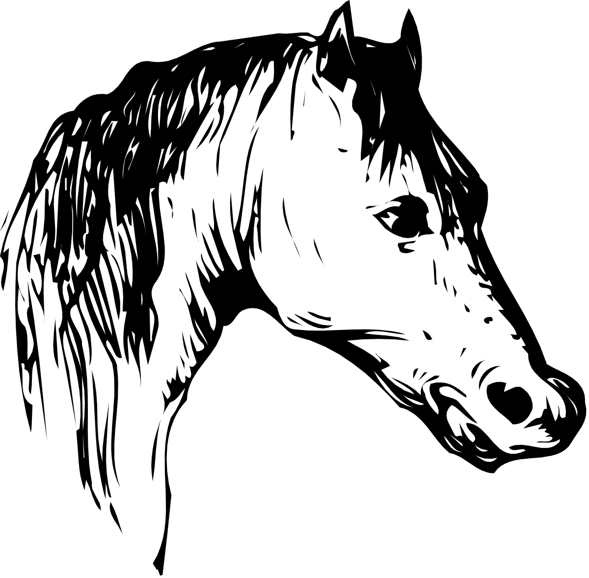 a black and white horse head with a white mane clip art png transparent Black and White Horse Head Clipart with Flowing Mane