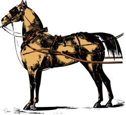 Elegant Horse Outline on Black Background Clipart