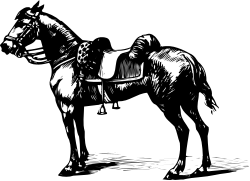 Black and White Horse Clipart - Elegant Monochrome Design