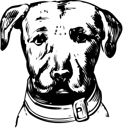 Black and White Dog Clipart with Collar - Perfect for Your Next Project