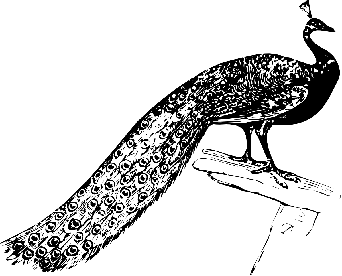 Black and White Fish Illustration - Stunning Clipart Design