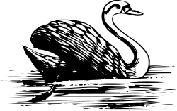 Elegant Black and White Swan Clipart for Stunning Visuals