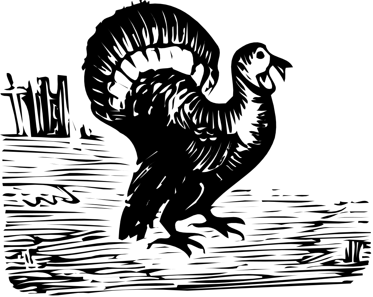 Bearded Man Clipart - Black and White Drawing for Versatile Use
