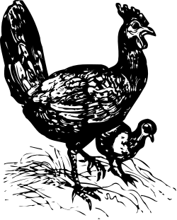 Bird Clipart: Elegant Black and White Drawing for Various Projects
