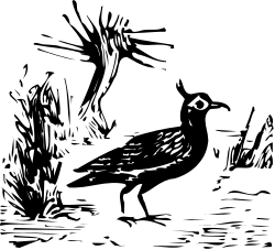 Black and White Bird Clipart for Creative Projects