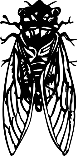 Mosquito Clipart: Intricate Black and White Insect Illustration