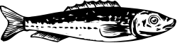 Silhouetted Fish on Black Background - Stunning Clipart for Creative Projects