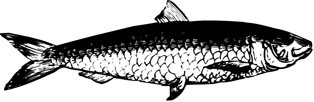 a fish with a black background clip art png transparent Fish Clipart with Black Background - Stunning Visuals for Your Projects