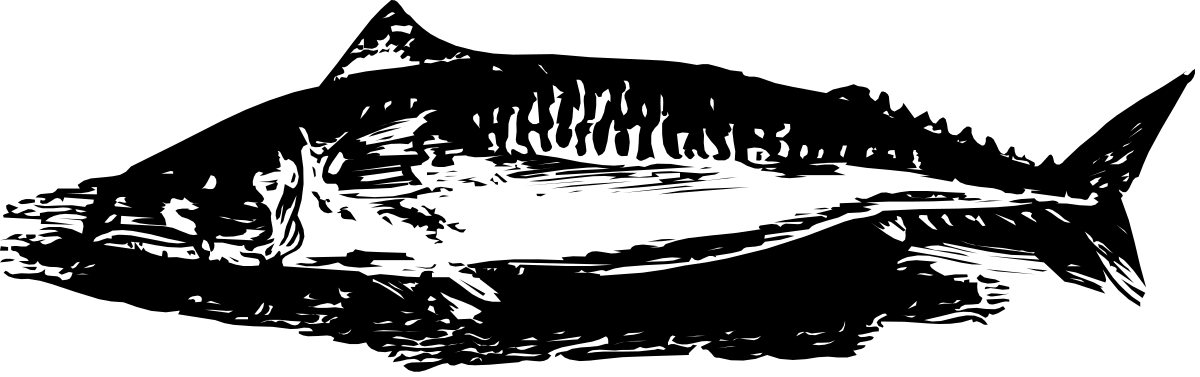 a black and white drawing of a fish clip art png transparent Black and White Fish Clipart - Versatile and Unique Illustrations