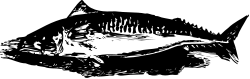 Black and White Fish Clipart - Versatile and Unique Illustrations