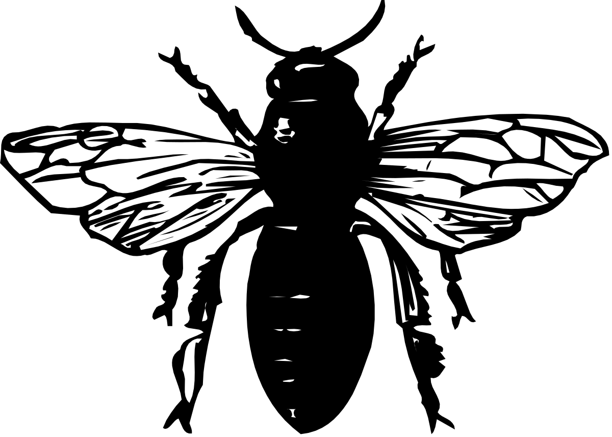 a black and white butterfly silhouetted on a black background clip art png transparent Butterfly Silhouette Clipart - Elegant Black and White Design