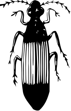 Skull Clipart - Black and White Elegant Design for Unique Projects