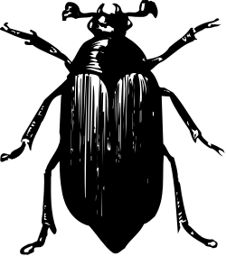 Black and White Beard Man Clipart for Creative Projects