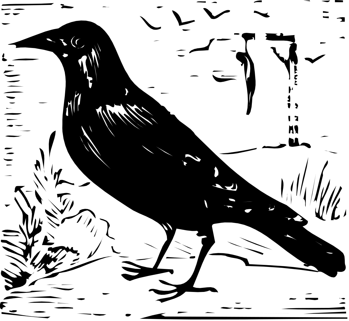 Black and White Bird Illustration - Elegant Clipart for Your Projects