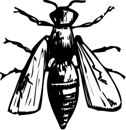 Black and White Beard Man Clipart - Unique Vintage Illustration