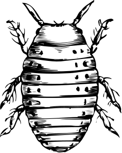 Black and White Bee Clipart on Dark Background