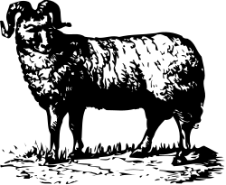 Silhouette of a Black and White Cow Against a Dark Background