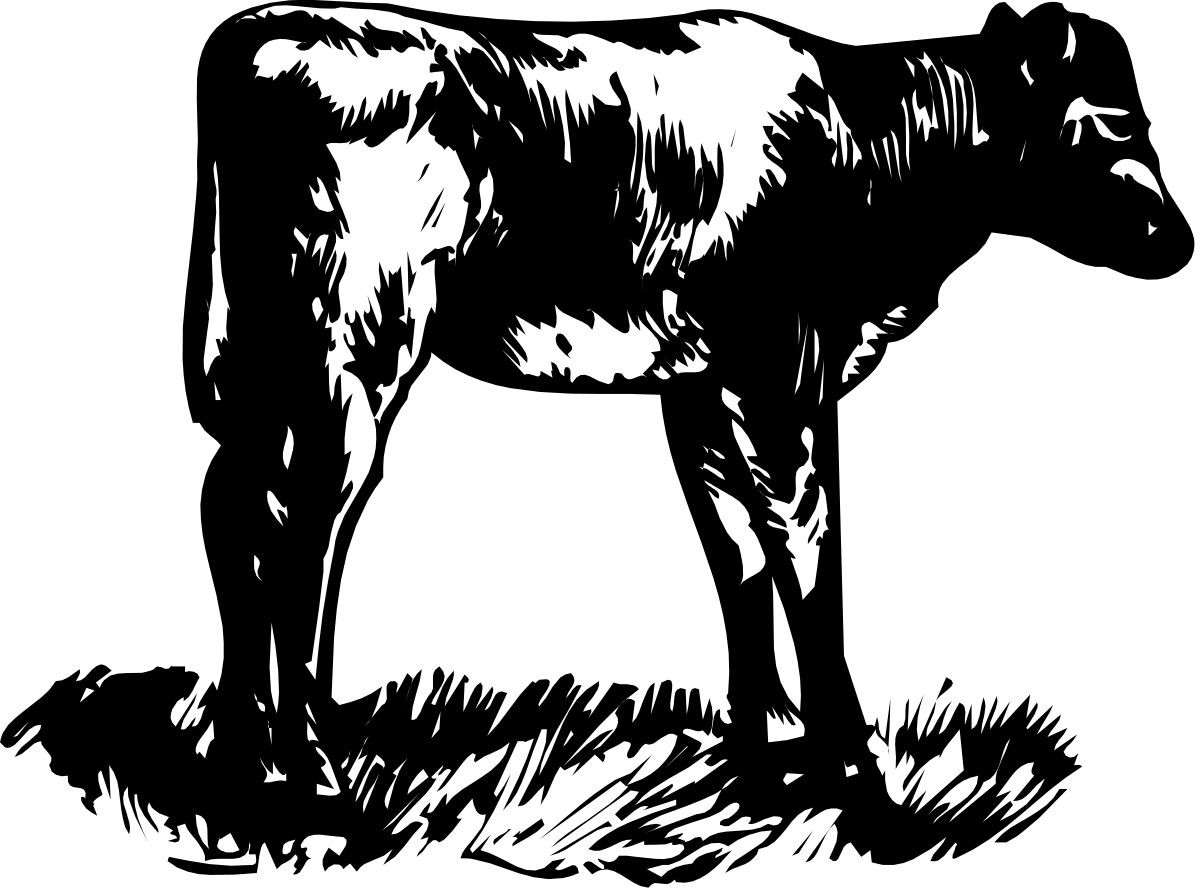 Black and White Cow Standing in the Dark - High-Quality Clipart