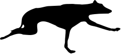 Half Moon Clipart on Black Background - Ideal for Nighttime Themes