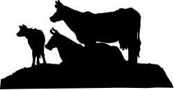 Black and White Silhouette of a Man - Perfect for Clipart Collections