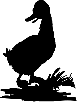 Black and White Cat on Black Surface Clipart