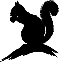 Black and White Cat in the Dark - Captivating Clipart Scene