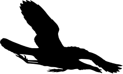 Black and White Man with Laptop Clipart for Creative Projects