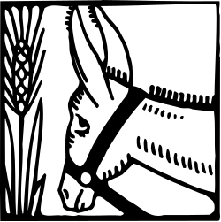 Horse Illustration with Corn - Vibrant Clipart for Your Projects
