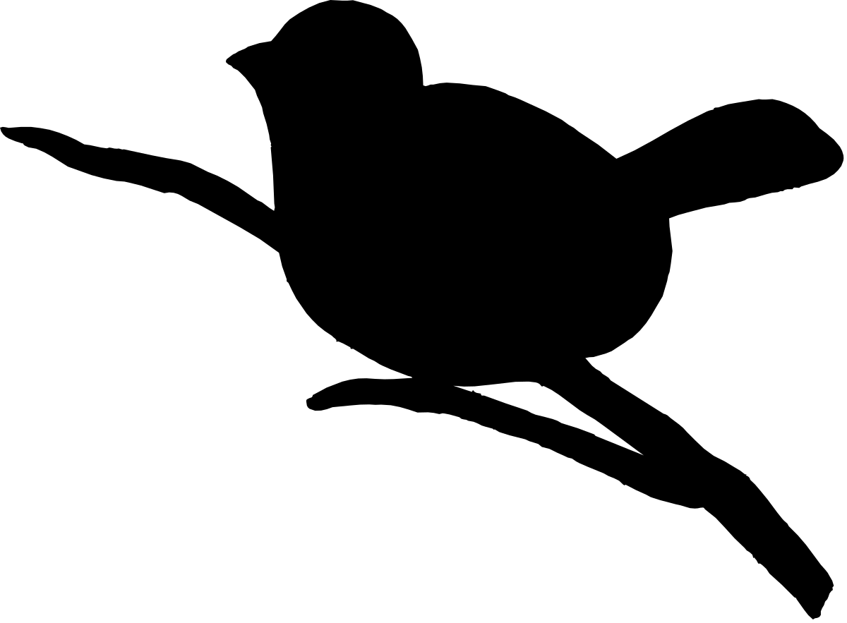 Black and White Bird Clipart: Stunning Avian Illustrations