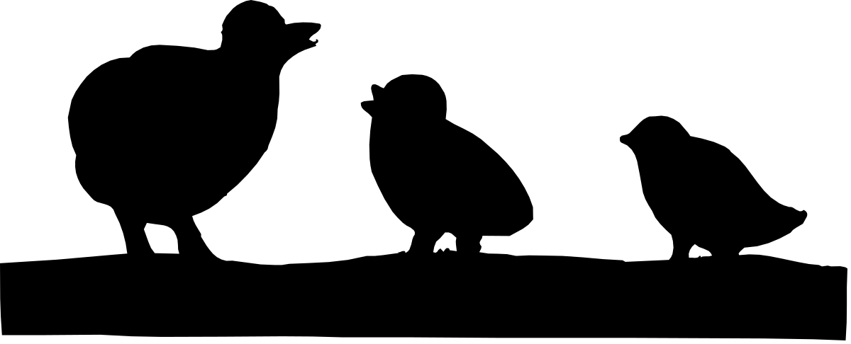 Bearded Man Clipart - Black and White Illustration