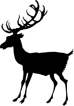 Black and White Silhouette of a Man - Elegant Clipart Design