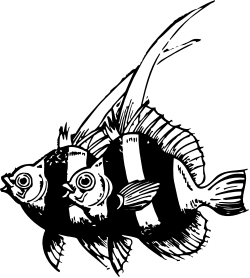 Fish Clipart on Black Background - Vibrant and Striking Design