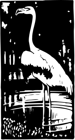 White Heron Bird on Wooden Bench Clipart for Nature Lovers