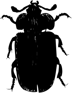 Black and White Man Clipart - Stylish Silhouette for Versatile Use