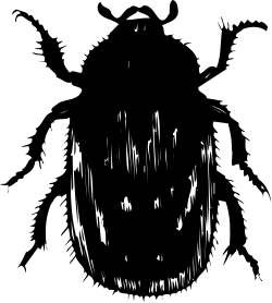 Black and White Man's Face Clipart - Stylish Portrait for Your Projects
