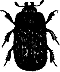Bearded Man Clipart: Black and White Portrait for Versatile Use