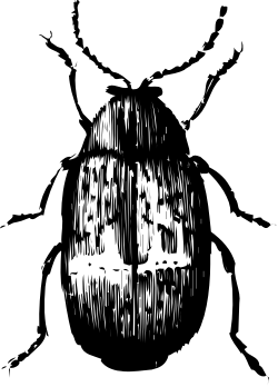 Black and White Face Clipart  Unique Monochrome Expressions