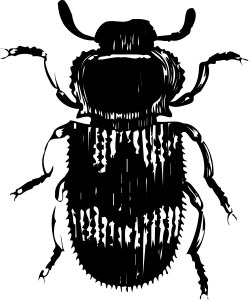 Spider Clipart: Striking Black and White Illustration