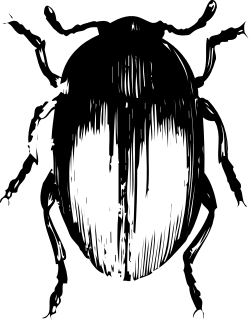 Black and White Person Clipart - Elegant Monochrome Visuals