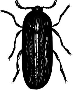 Black and White Man's Face Clipart for Creative Projects