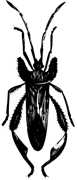 Black and White Face Clipart for Versatile Designs